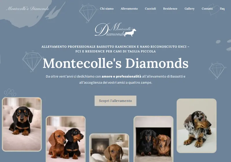 Anteprima del sito Montecolle’s Diamonds